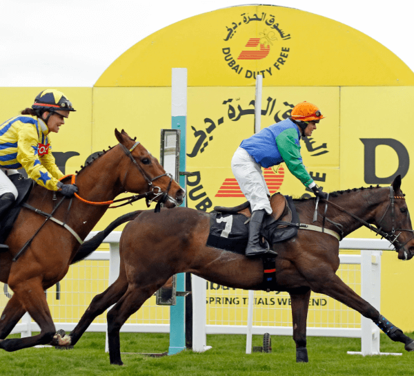 Horse Racing and Its Role in Philanthropy