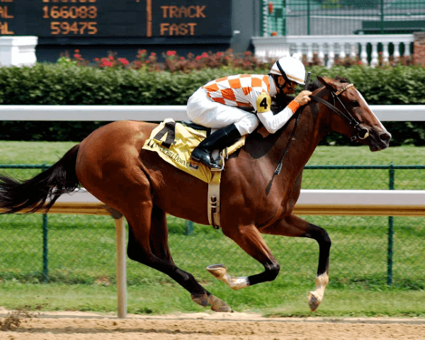 Horse Racing and Its Role in Preserving Breeds