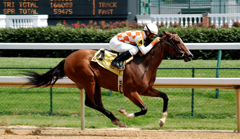 Horse Racing and Its Role in Preserving Breeds