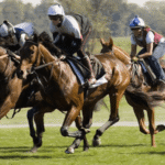 Horse Racing and Its Role in Promoting Animal Health