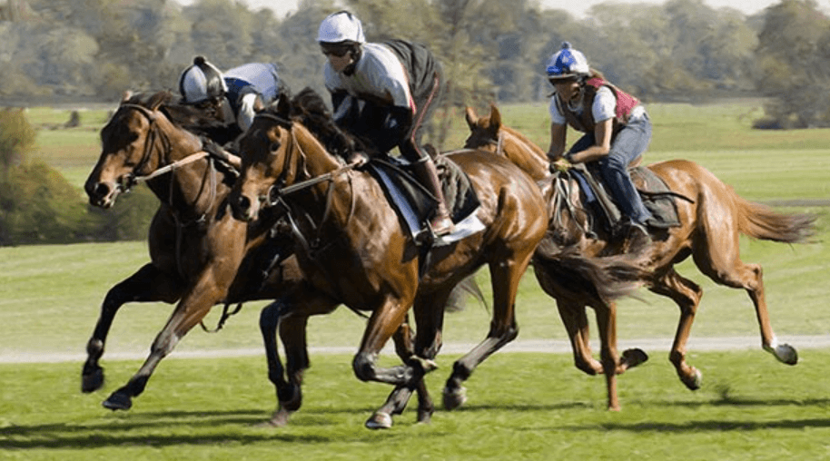 Horse Racing and Its Role in Promoting Animal Health