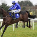 Horse Racing and Its Role in Promoting Animal Welfare