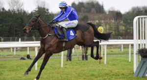 Horse Racing and Its Role in Promoting Animal Welfare