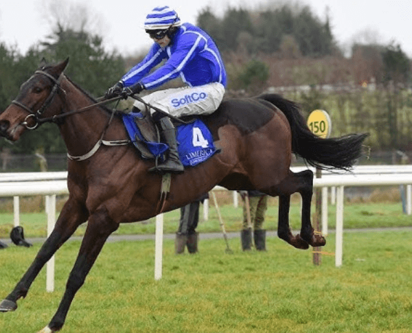 Horse Racing and Its Role in Promoting Animal Welfare