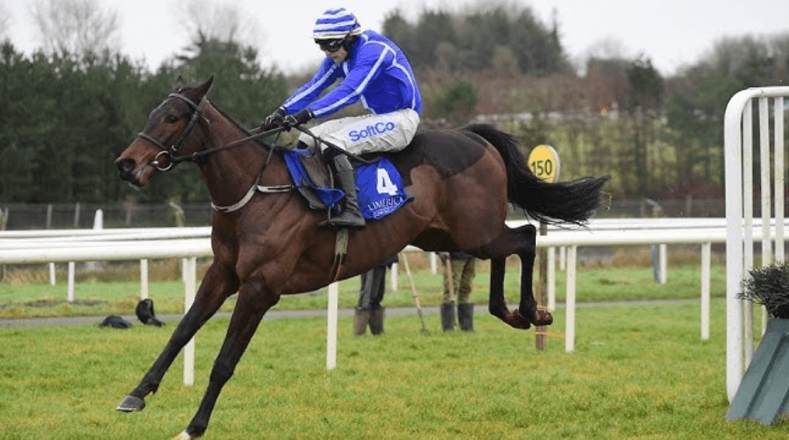 Horse Racing and Its Role in Promoting Animal Welfare