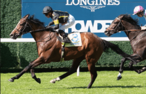 Horse Racing and Its Role in Promoting Fair Play