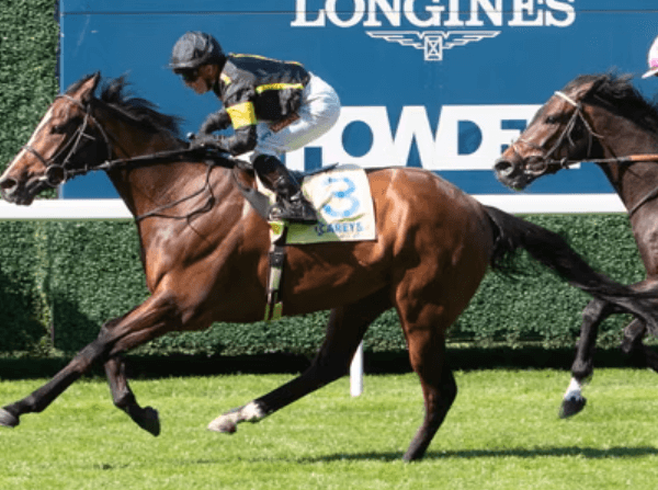 Horse Racing and Its Role in Promoting Fair Play